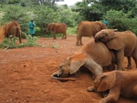 Kenya & Tanzania – Del 1 Kenya & Tanzania – Del 1