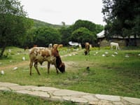 Kenya & Tanzania – Del 1 Kenya & Tanzania – Del 1