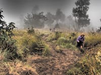 Turen til toppen af Mount Rinjani Turen til toppen af Mount Rinjani