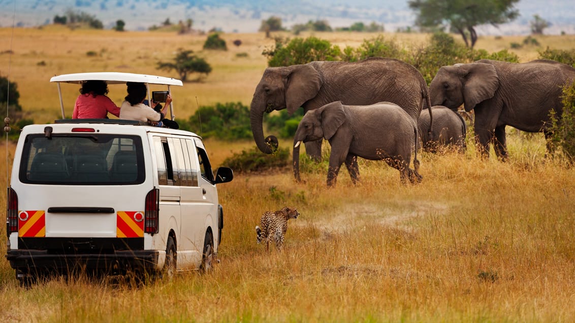 Safari i Masai Mara