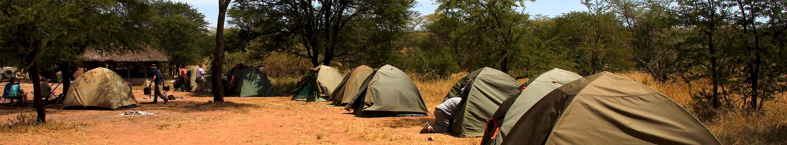 Safari i Serengeti