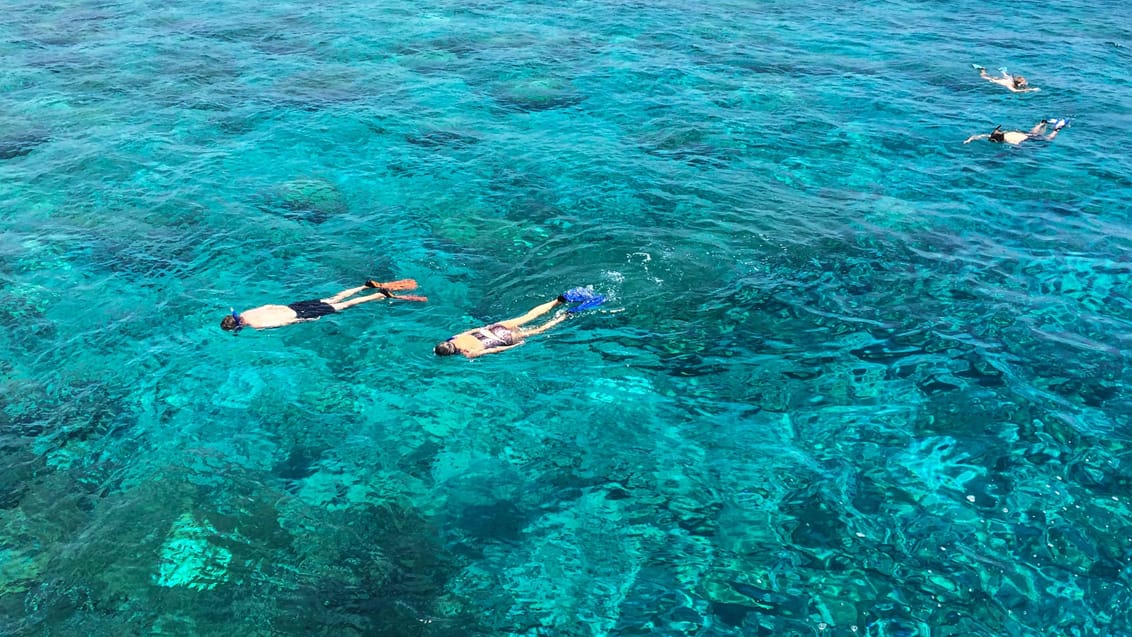 Snorkeling på Maldiverne