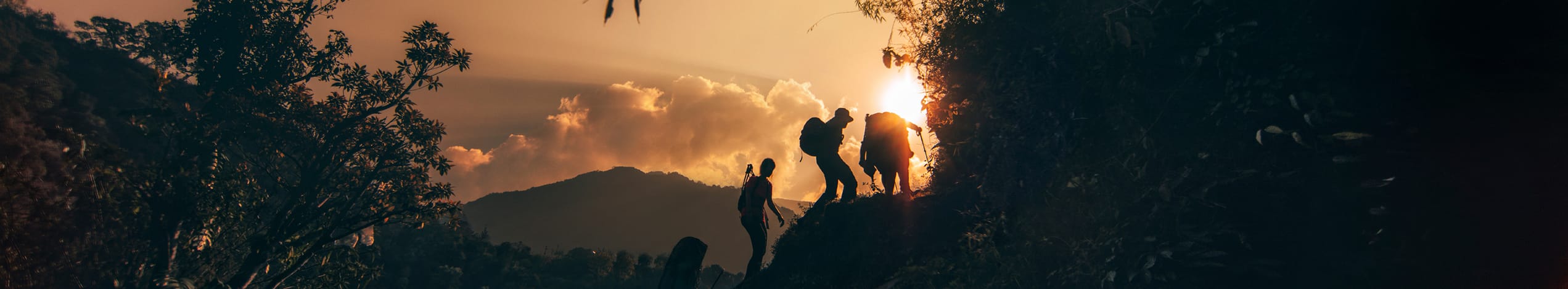 Trekking i Endau Rompin