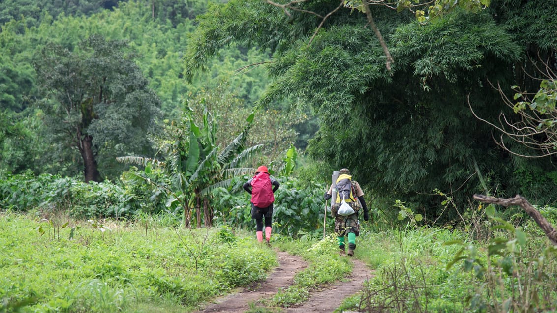 Trekking og cykling i Chiang Mai