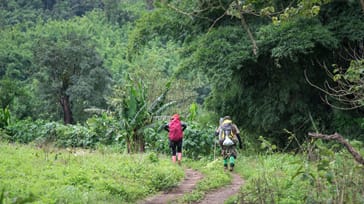 Trekking og cykling i Chiang Mai