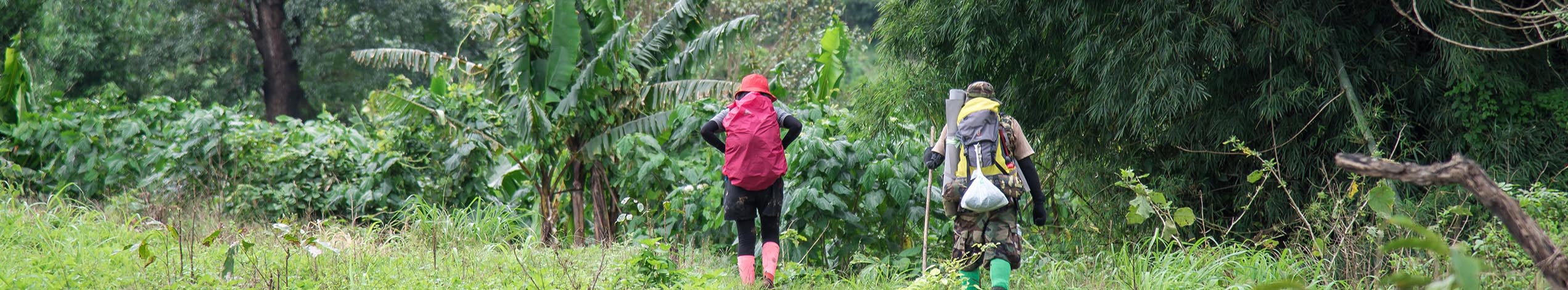 Trekking og cykling i Chiang Mai