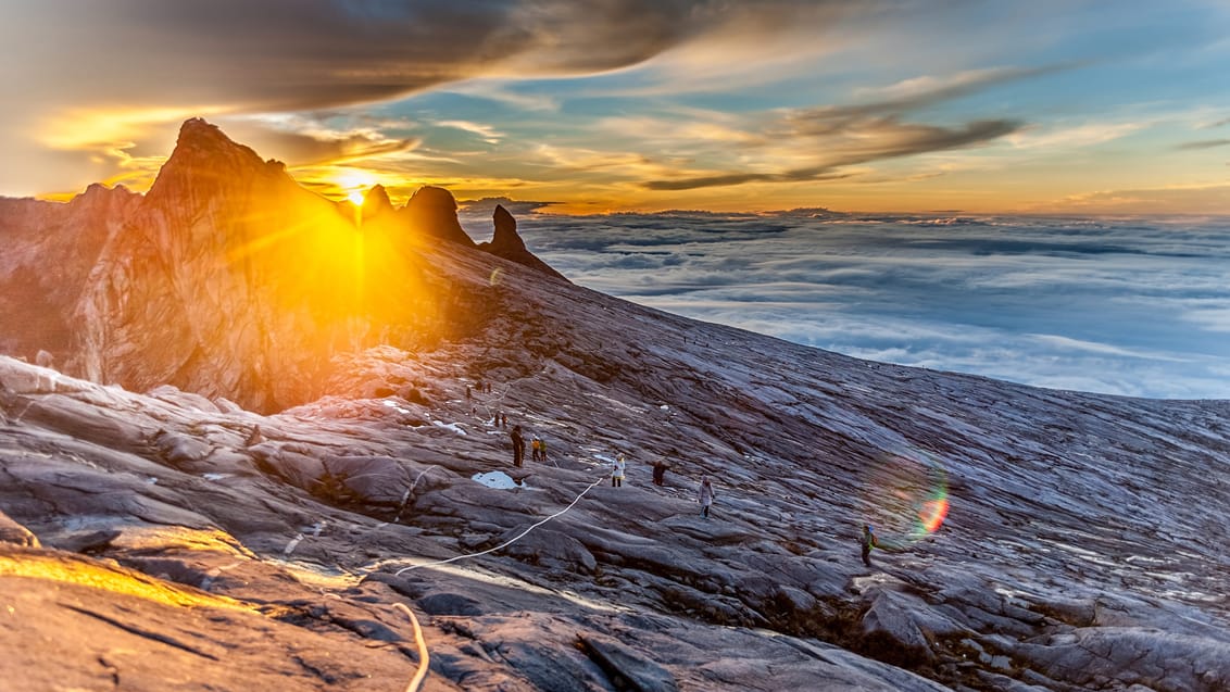 Trekking på Mt. Kinabalu