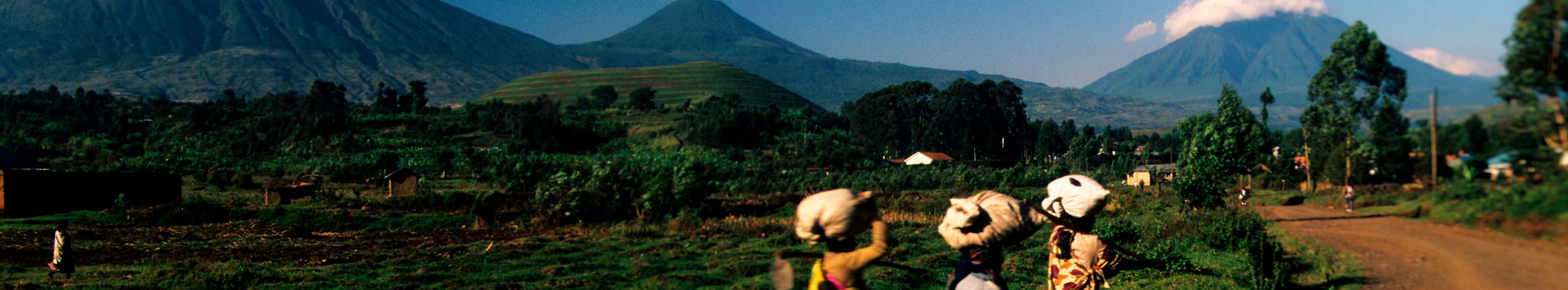 Volcanoes Nationalpark i Rwanda