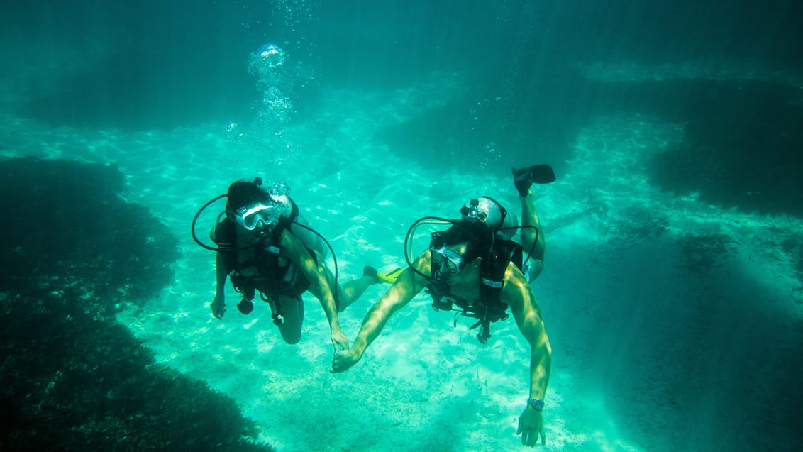 Dykning på Seychellerne