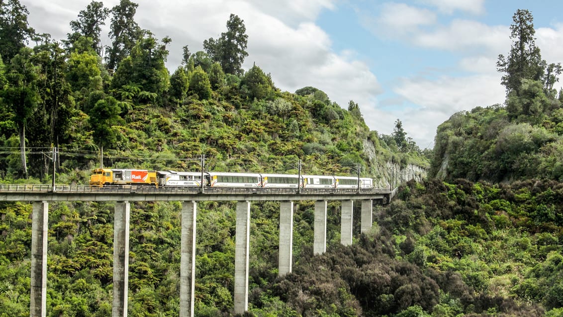 Northern Explorer, fra Auckland til Wellington