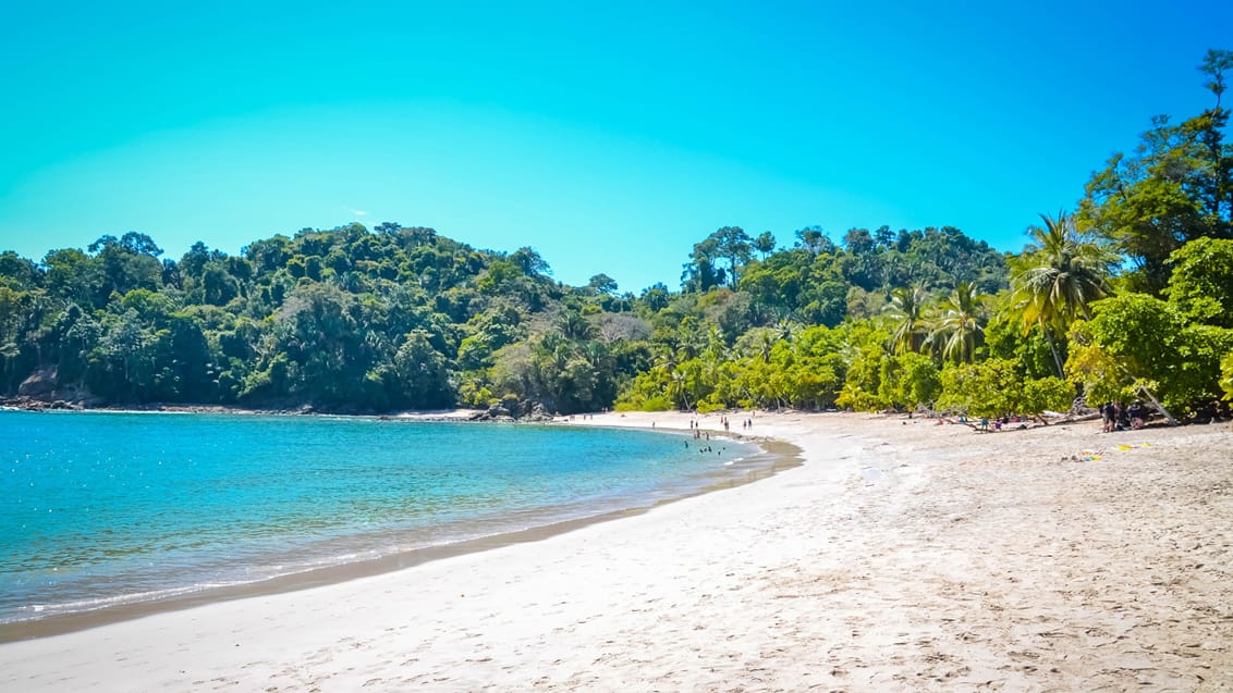 Playa Manuel Antonio i Costa Rica