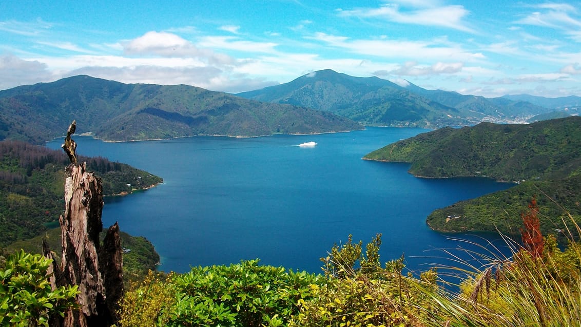 Queen Charlotte track