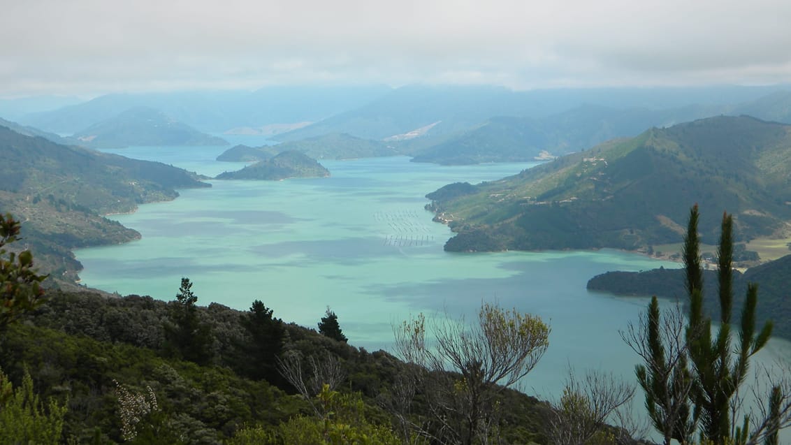 Queen Charlotte track