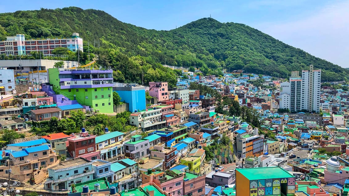 Tag med Jysk Rejsebureau på eventyr i Sydkorea