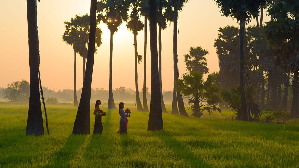 Oplev smuk kultur og natur i Ubud