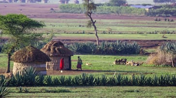 Firma- og forretningsrejse til Tanzania