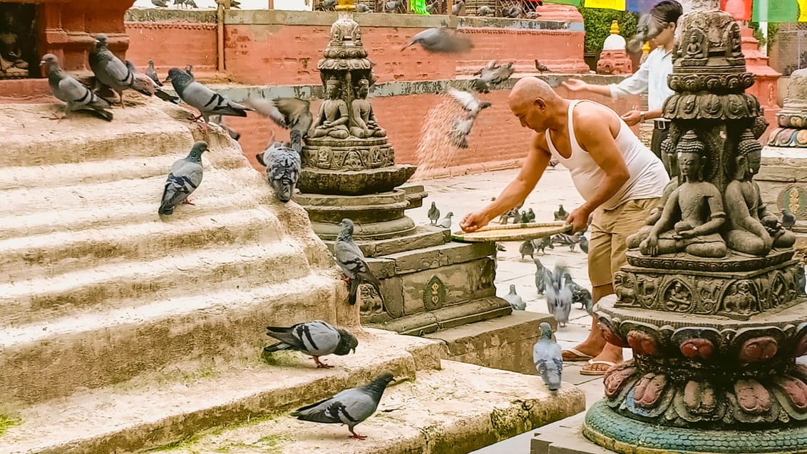 Lokal mand på plads i Kathmandu