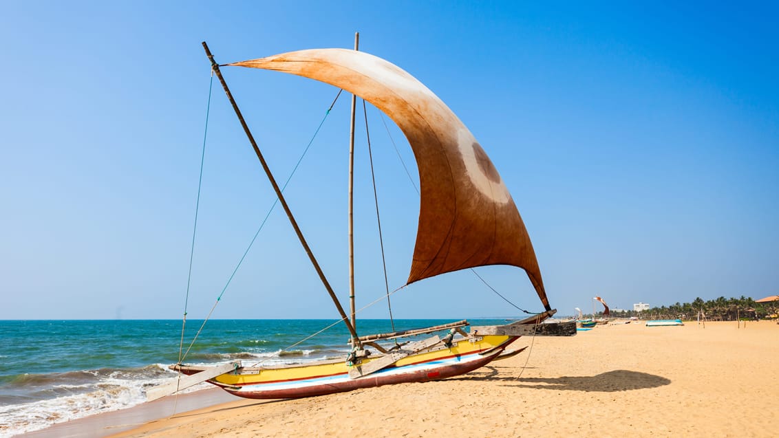 Oplev de smukke strande flere steder på Sri Lanka - her i Negombo