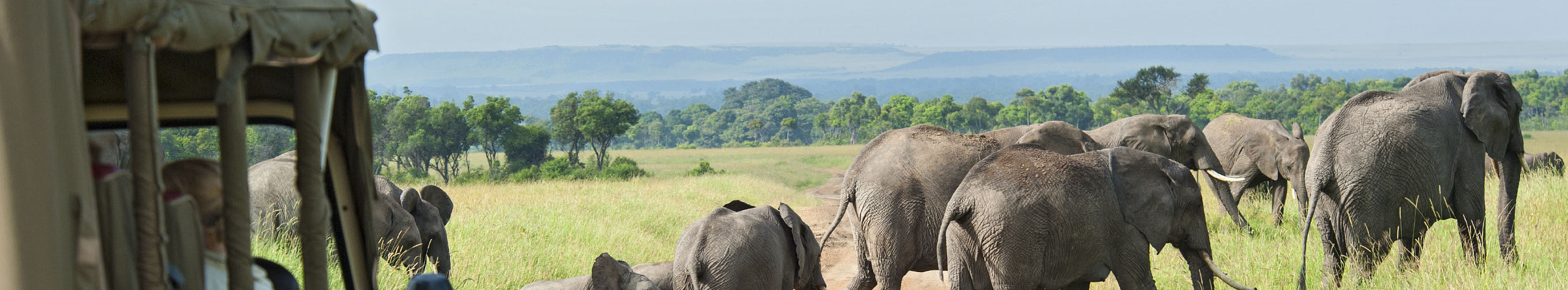 Studietur til Nairobi, Afrika