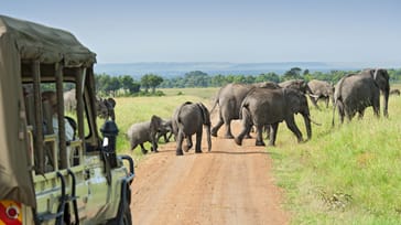 Studietur til Nairobi, Afrika