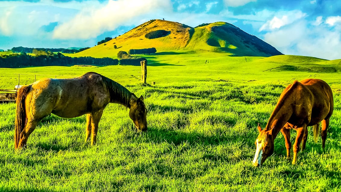 Tag med Jysk Rejsebureau på ø-hop på magiske Hawaii