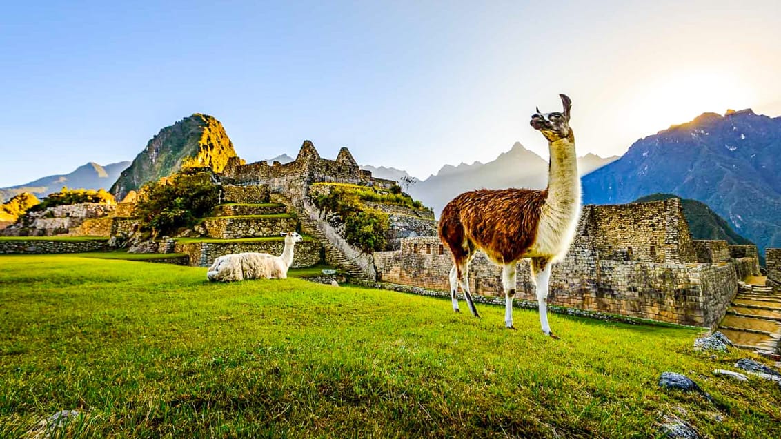 Tag med Jysk Rejsebureau på rejseeventyr i Peru