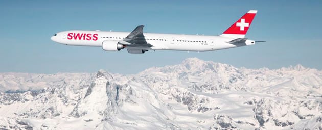 Swiss fly