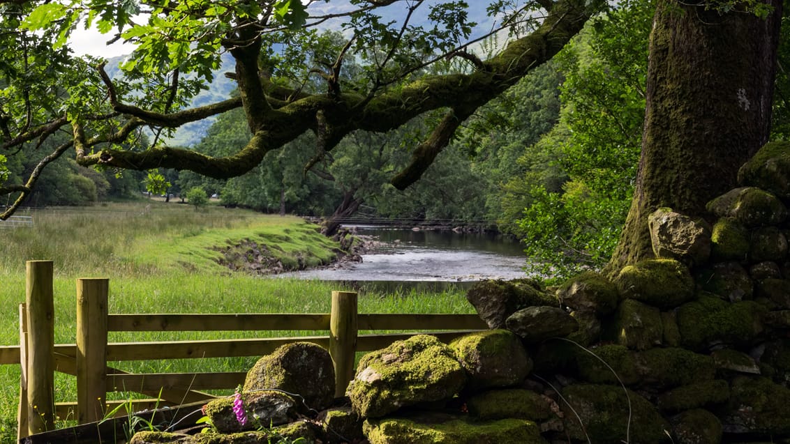 Floden Falloch, West Highland Way, Skotland