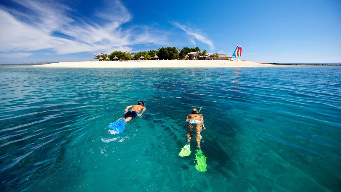 Snorkeling, FIji