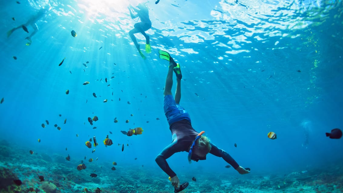 Snorkling ved Gili Islands