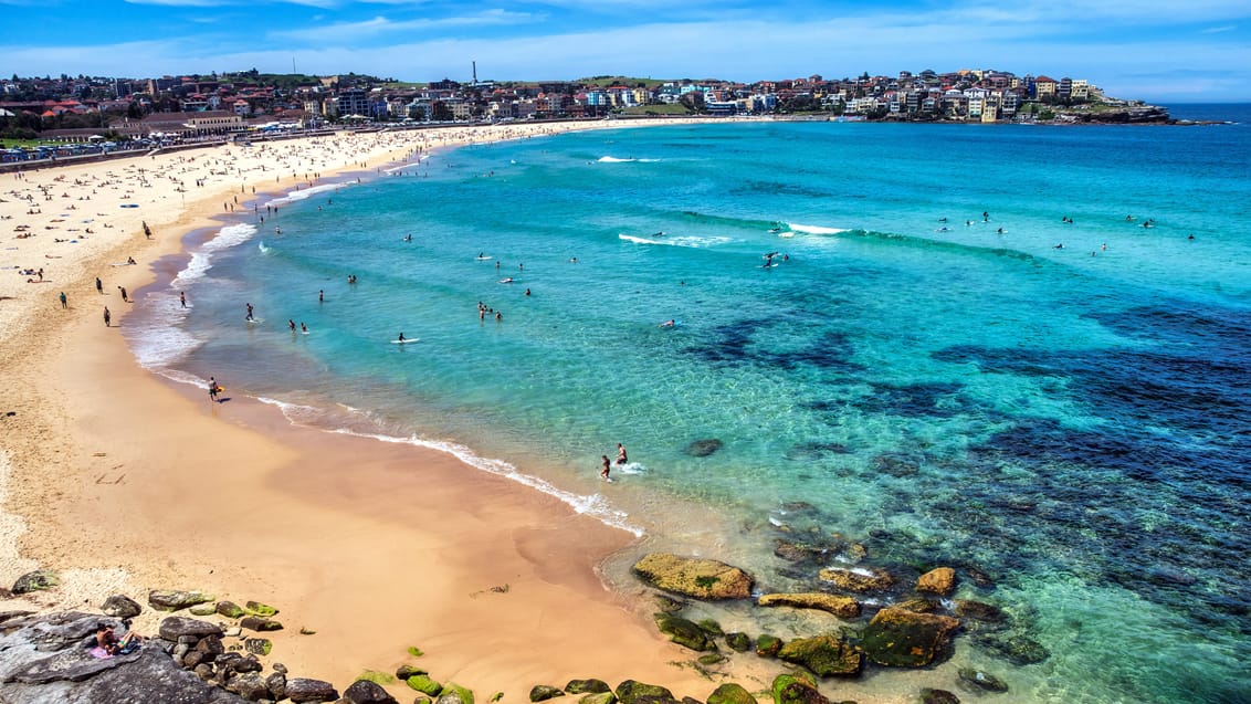 Tag ud til verdensberømte Bondi Beach i Sydney
