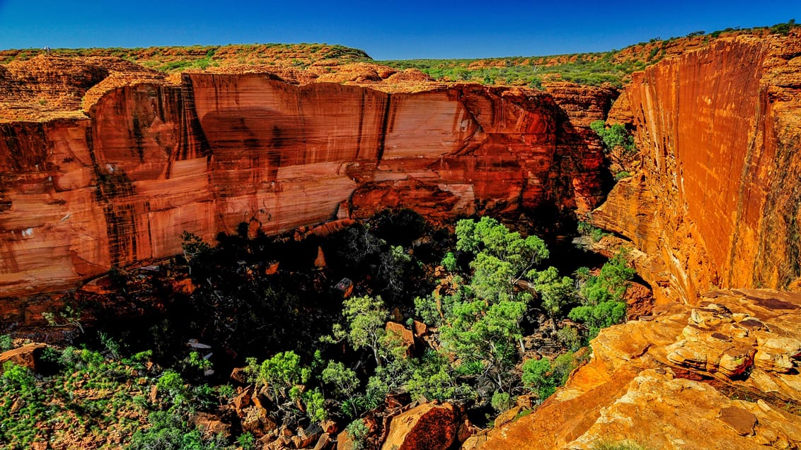 Oplev de imponerende kløfter ved Kings Canyon