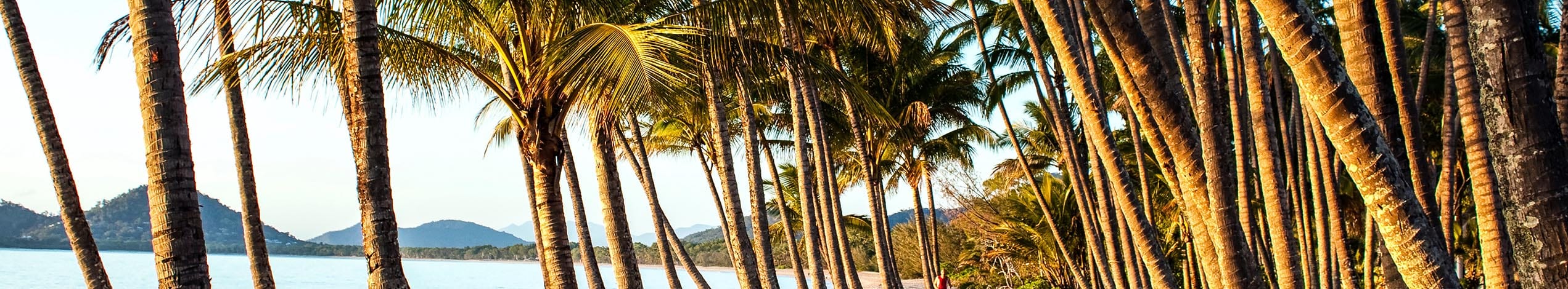 Palmer ved Palm Cove, nord for Cairns