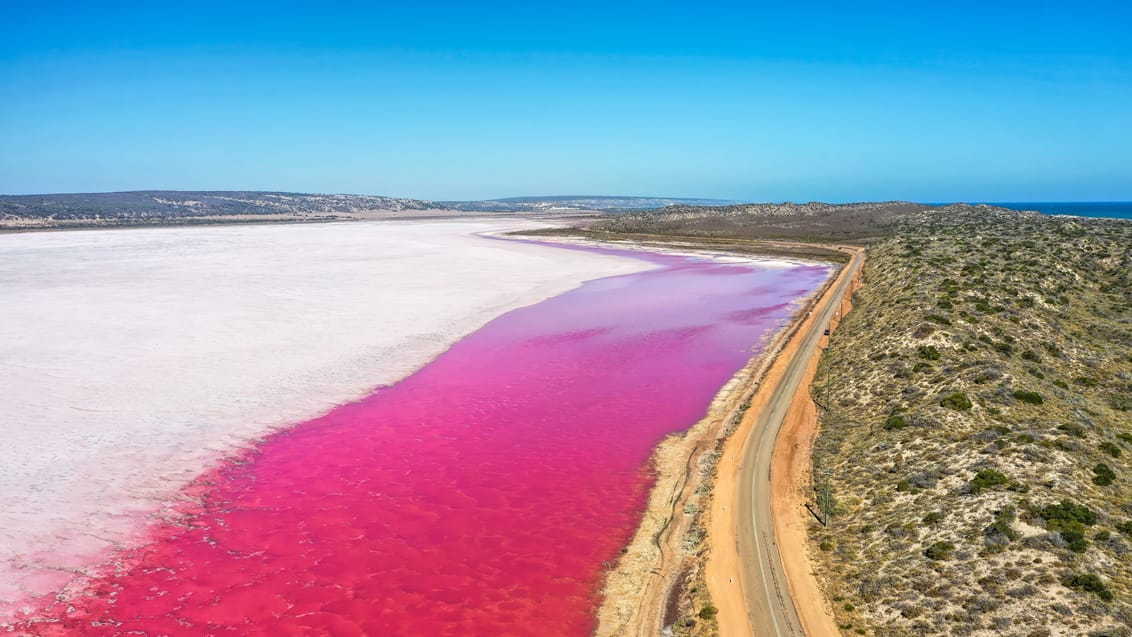 Pink sø ved Hutt Lagoon ved Geraldton