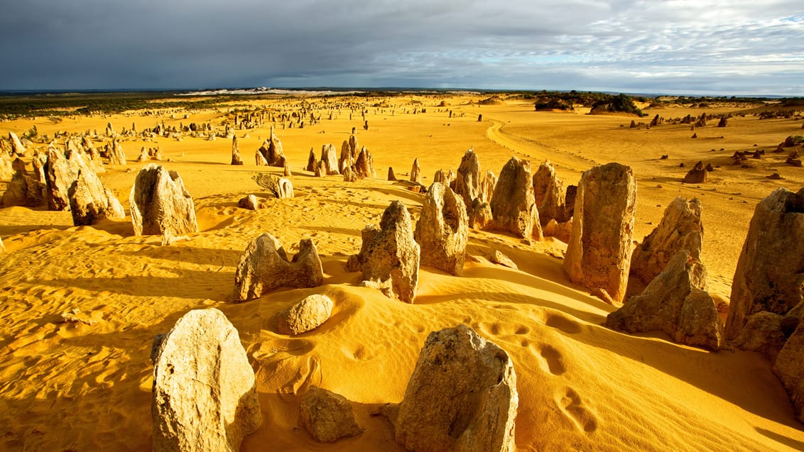 Pinnacles Desert, nord for Perth