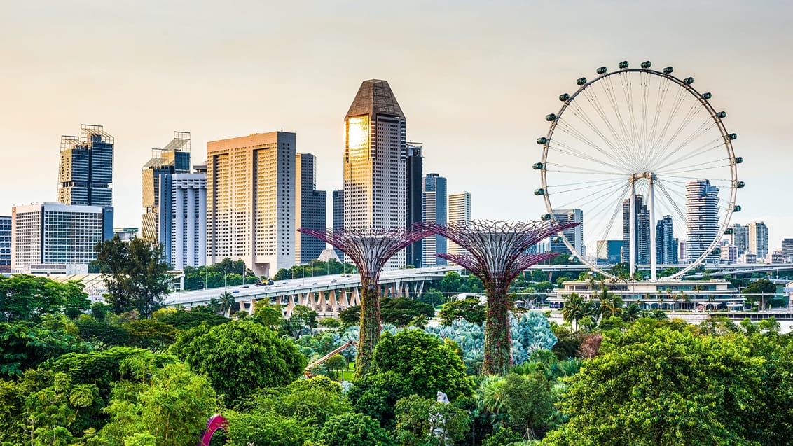 Udsigt over Gardens by the Bay og Singapores skyline