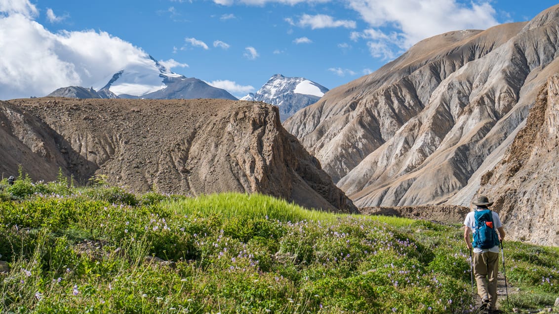 Markha Valley Trek, Indien