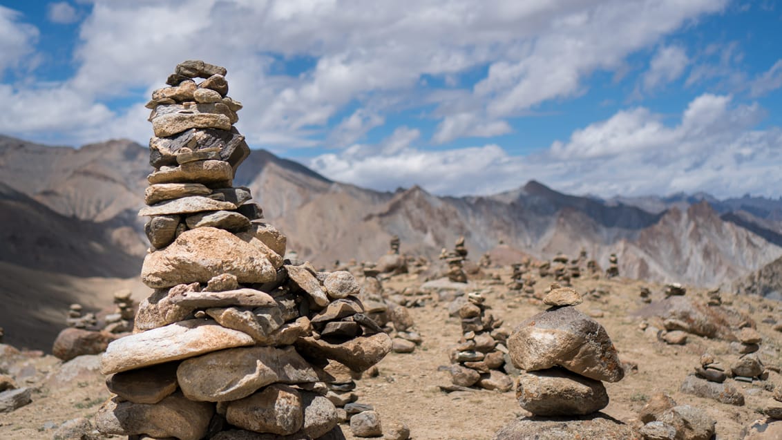 Markha Valley Trek, Indien