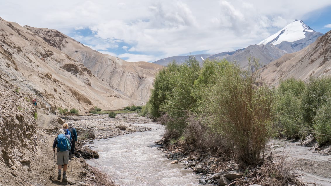 Markha Valley Trek, Indien