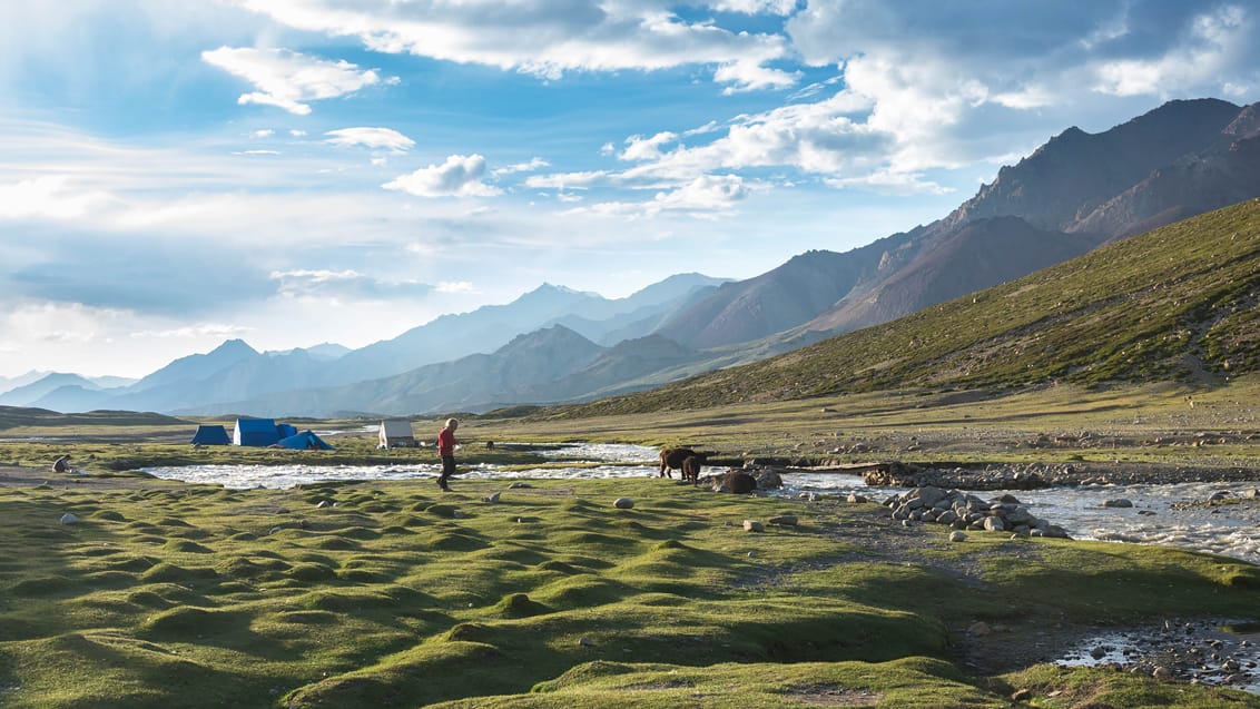 Nimaling Camp, Markha Valley trek, Ladakh, Indien