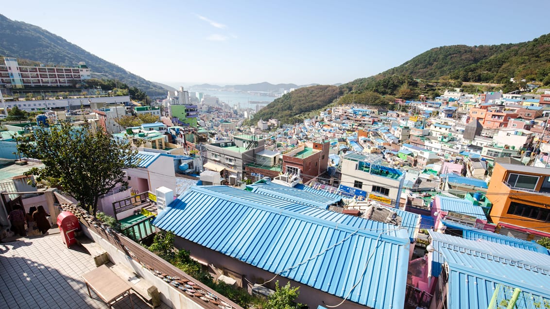 Tag med Jysk Rejsebureau på rejseeventyr til Sydkorea