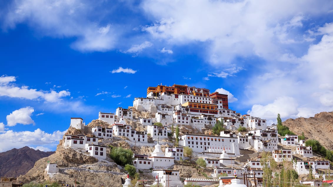 Thiksey Monastery, Leh, Ladakh, Indien