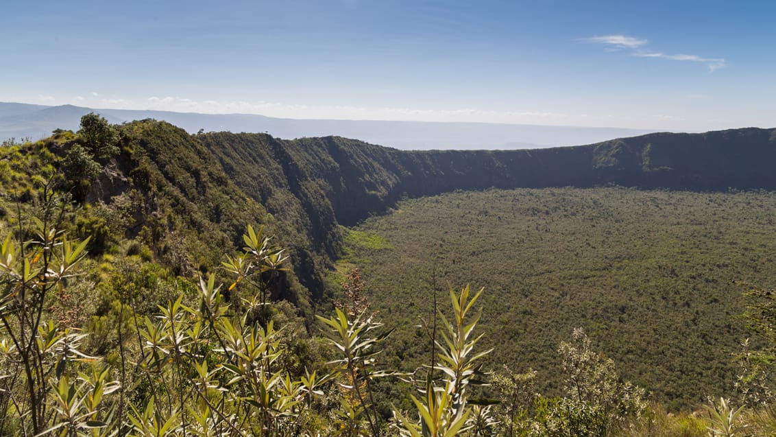 Trek på vulkanen Mt. Longonot