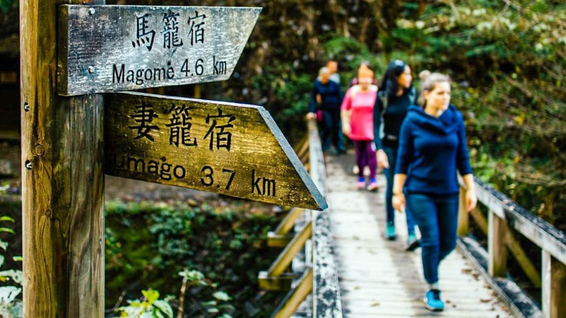 Trekking, kultur og pilgrimsvandring i Japan