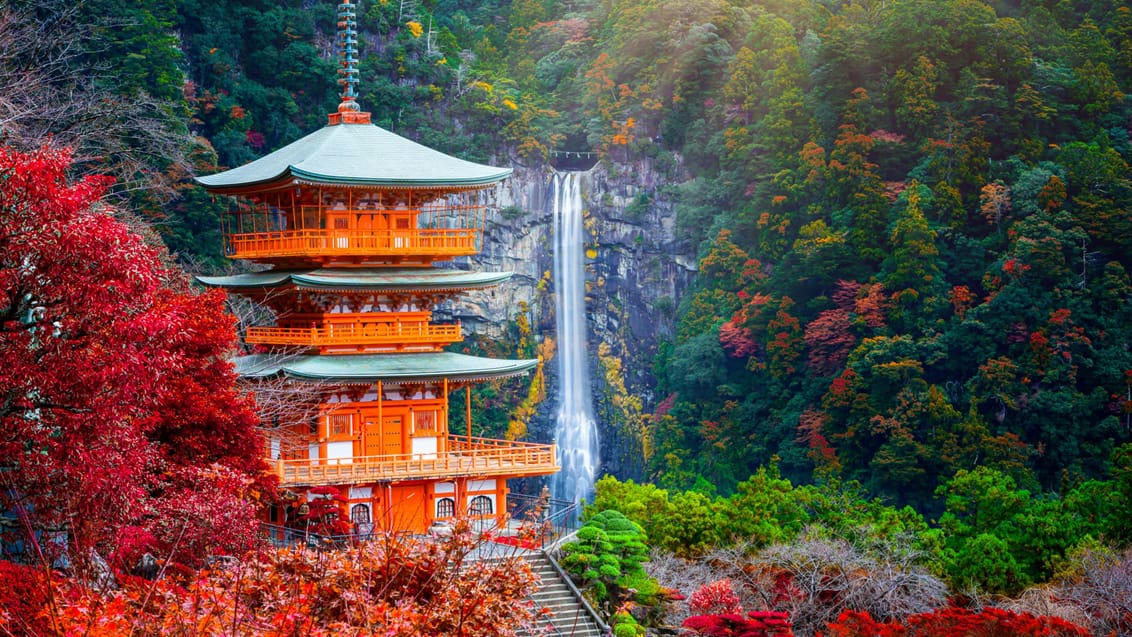 Trekking, kultur og pilgrimsvandring i Japan
