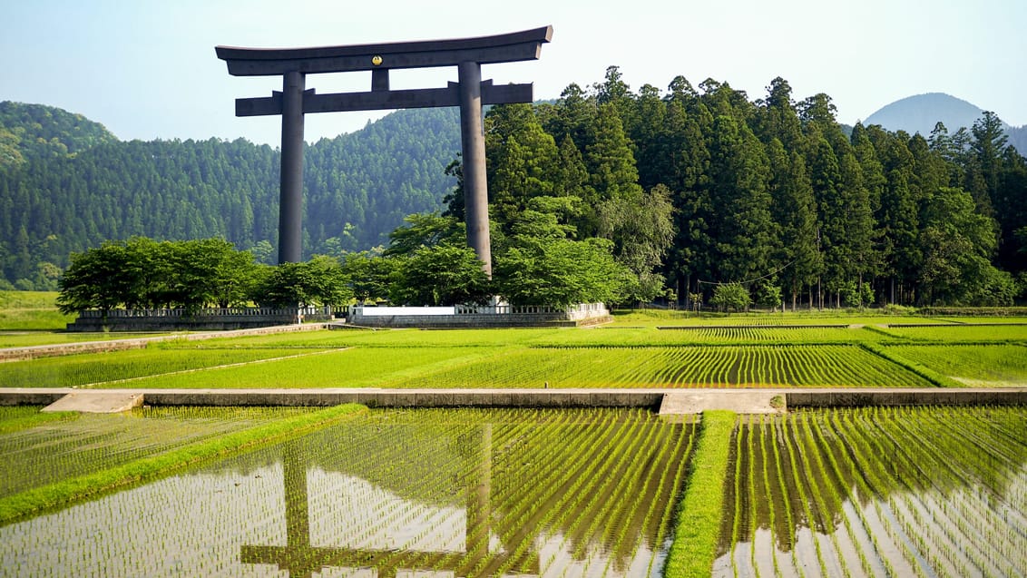 Trekking, kultur og pilgrimsvandring i Japan