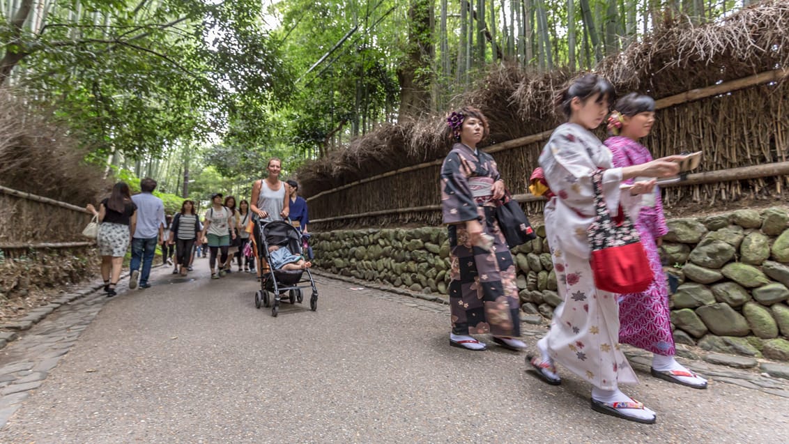 Trekking, kultur og pilgrimsvandring i Japan