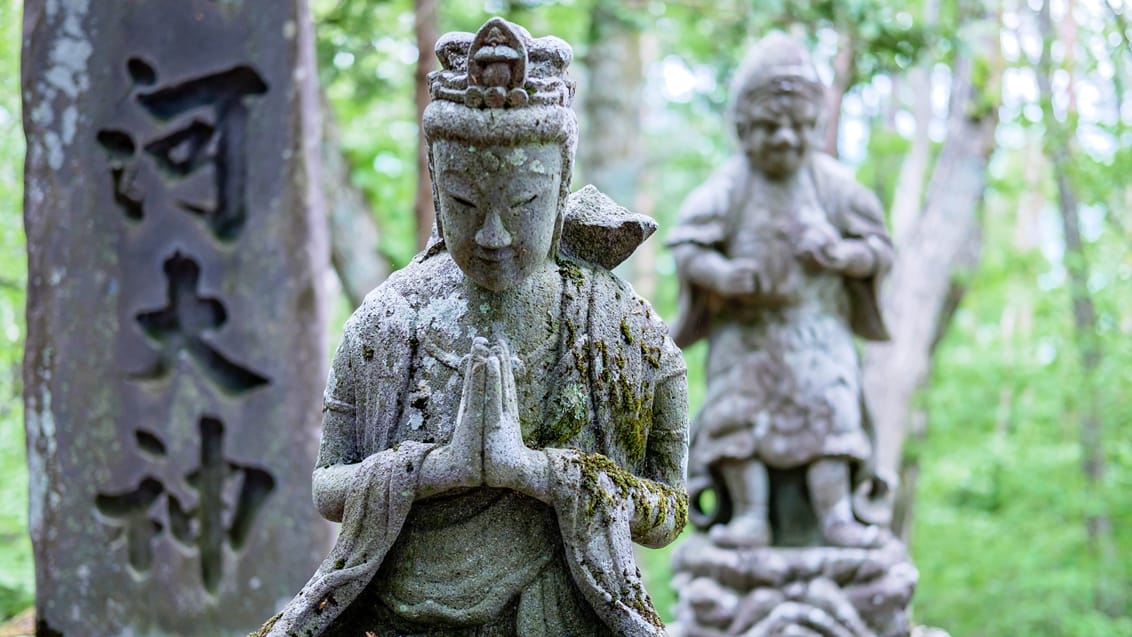 Trekking, kultur og pilgrimsvandring i Japan