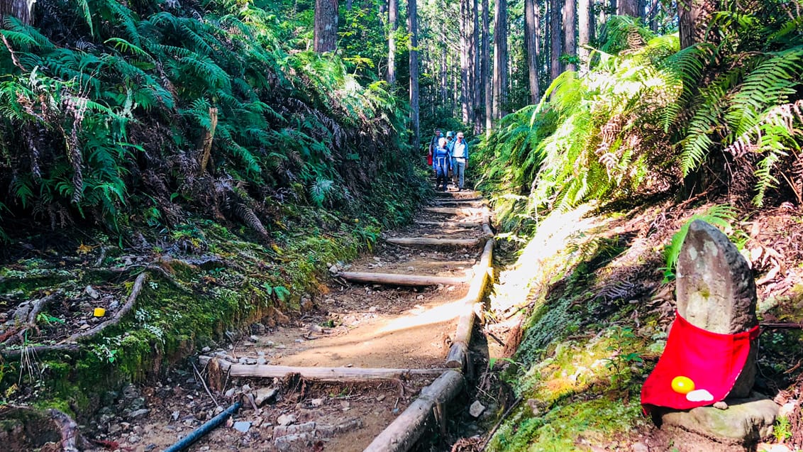 Trekking, kultur og pilgrimsvandring i Japan