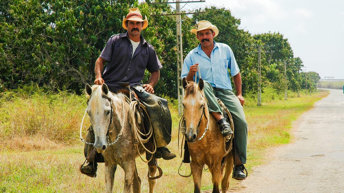 Lokale cowboys på vejen i Viñales